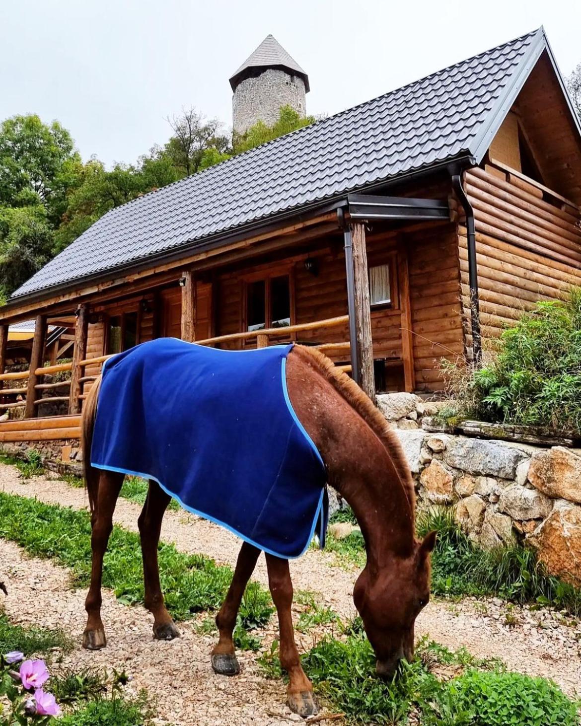 Koliba 30Svibnja Villa Perusic Kültér fotó